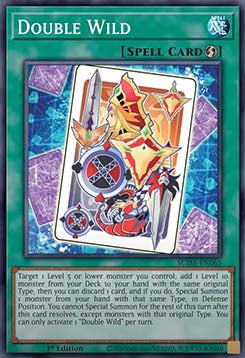 Double Wild - Supreme Darkness (Common) [SUDA-065]