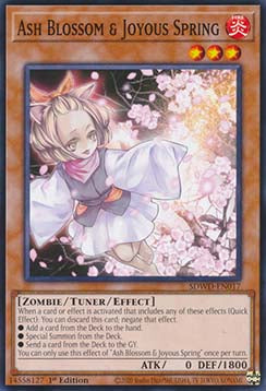 Ash Blossom & Joyous Spring⁣ - Structure Deck: Blue-Eyes White Destiny⁣ (Common)⁣ [017]