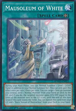 Mausoleum of White - Structure Deck: Blue-Eyes White Destiny (Common) [SDWD-023]