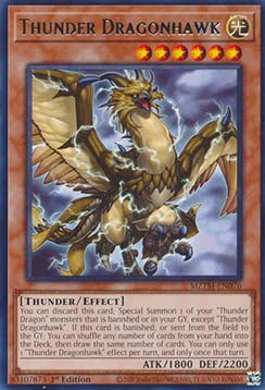 Thunder Dragonhawk - Maze of the Master (Rare) [MZTM-076]