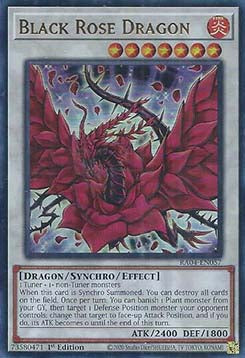 Black Rose Dragon (V.2 - Ultra Rare)⁣ - Quarter Century Stampede⁣ (Ultra Rare)⁣ [057]