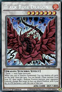 Black Rose Dragon (V.6 - Collectors Rare)⁣ - Quarter Century Stampede⁣ (Collectors Rare)⁣ [057]