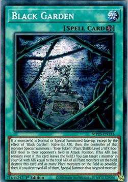Black Garden⁣ - 2025 Mega-Pack Tin⁣ (Secret Rare)⁣ [132]