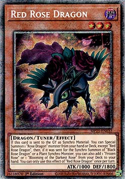 Red Rose Dragon⁣ - 2025 Mega-Pack Tin⁣ (Starlight Rare)⁣ [037]