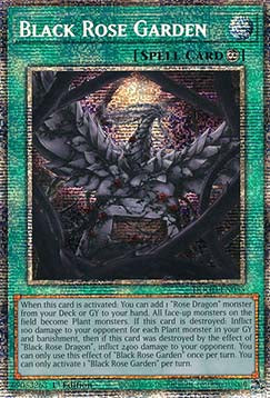 Black Rose Garden (V.2 - Starlight Rare) - Doom of Dimensions (Starlight Rare) [DOOD-055]