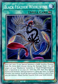 Black Feather Whirlwind - Legendary 5D's Decks (Common) [L5DD-C22]