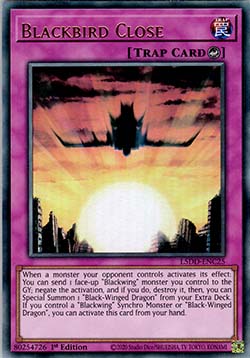 Blackbird Close - Legendary 5D's Decks (Ultra Rare) [L5DD-C25]